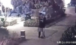 吃瓜爆料深圳视频完整版,吃瓜爆料视频完整版深度解析