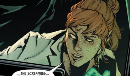 少女骑士团动漫,守护荣耀与梦想的传奇之旅