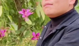 高清搞笑短视频,短视频带你领略欢乐瞬间
