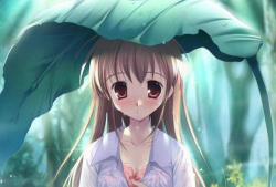 肉嫁高柳动漫,一场跨越次元的甜蜜邂逅