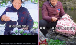 成年人的短视频,成年人的娱乐与生活新篇章