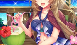 动漫  姐姐,姐姐的奇幻冒险之旅