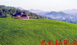 梵净山短视频,自然奇观与禅意灵地的短视频之旅