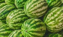 网红吃瓜爆料入口在哪,一探究竟的神秘之门