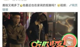 酒吧吃瓜事件爆料视频大全,揭秘视频大全背后的惊人真相