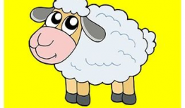 猫爪短视频素材库