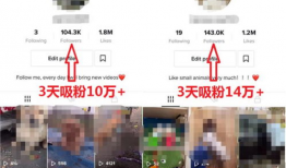 海外短视频tiktok,潮流文化的新风向标
