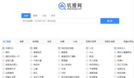 精品国产网盘,精品国产网盘深度解析