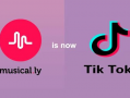 海外短视频tiktok,潮流文化的新风向标