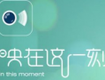 映客怎么发短视频,轻松发布你的精彩瞬间