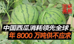 南京吃瓜爆料是真的吗,真相还是谣言？