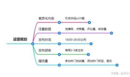 短视频运营计划方案设计,打造爆款内容，提升品牌影响力
