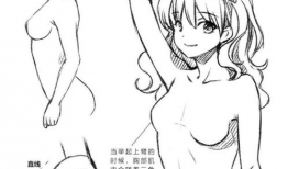 动漫胸部,胸部线条的艺术演绎